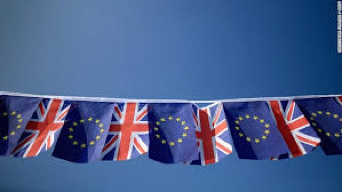Kvalitet javnih usluga i ostanak u Evropskoj uniji – slučaj Velike Britanije 